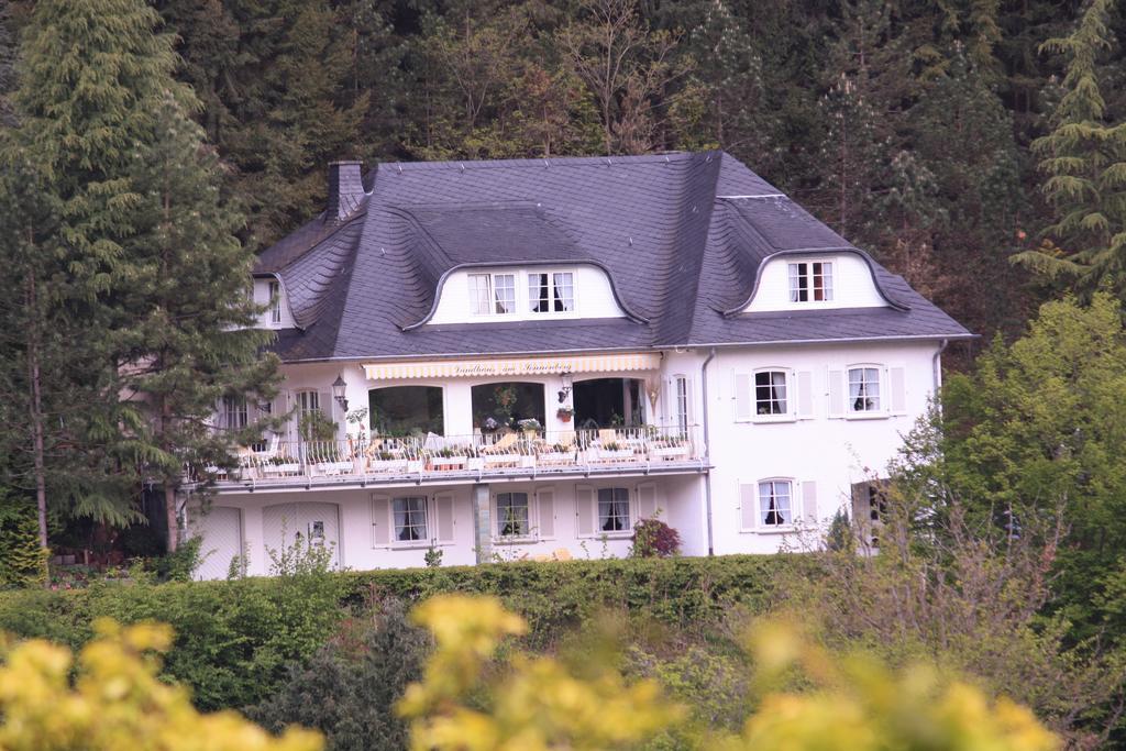 Apartment Am Sonnenberg Bad Bertrich